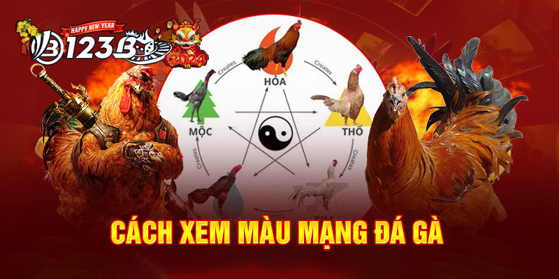 Màu Mạng Đá Gà 123B | Khi Phong Thủy Gặp Gỡ Đam Mê!